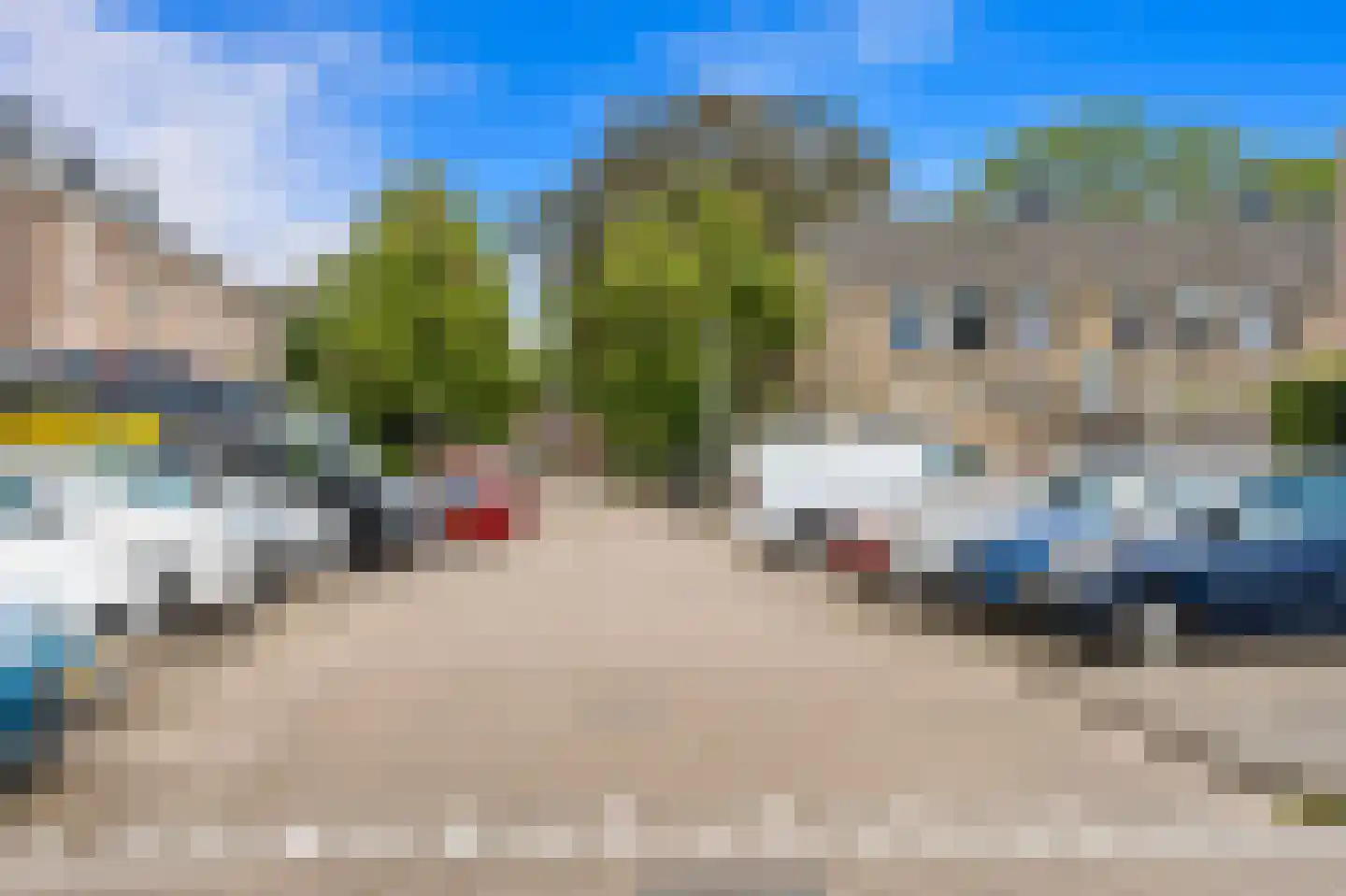 Fluitekruid 14 Den Hoorn thumbnail 39