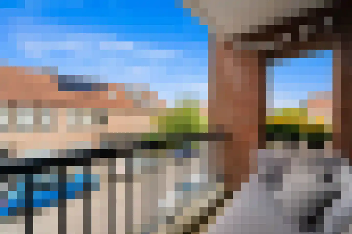 Fluitekruid 14 Den Hoorn thumbnail 4