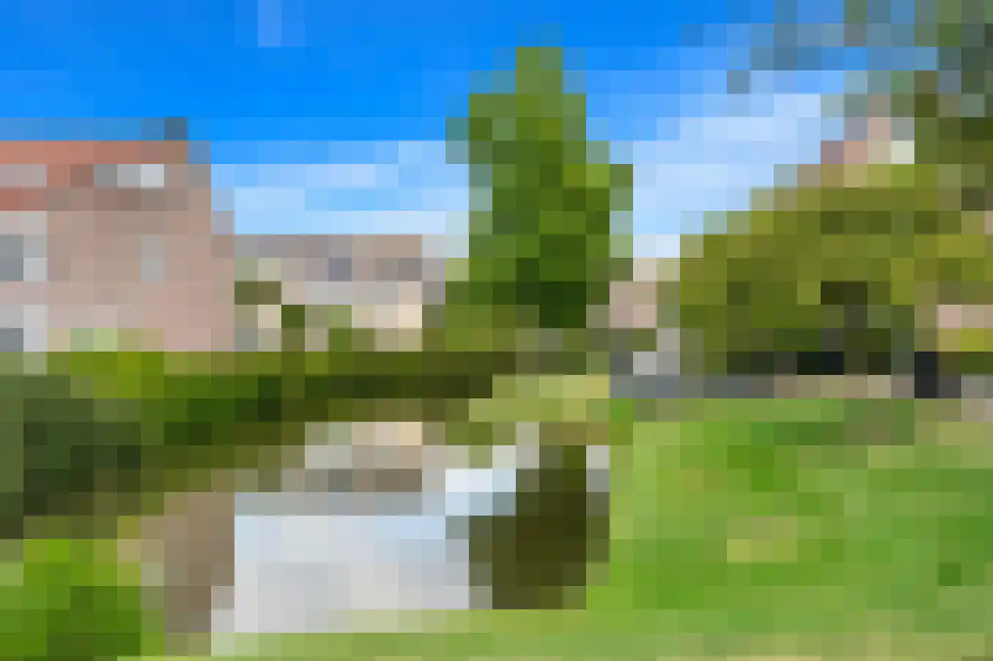 Fluitekruid 14 Den Hoorn thumbnail 40