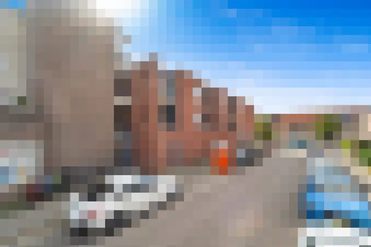 Fluitekruid 14 Den Hoorn thumbnail 7