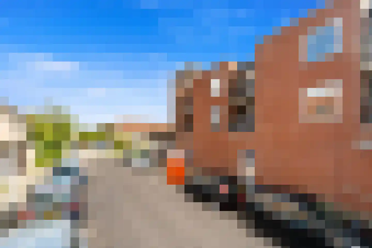 Fluitekruid 14 Den Hoorn thumbnail 8