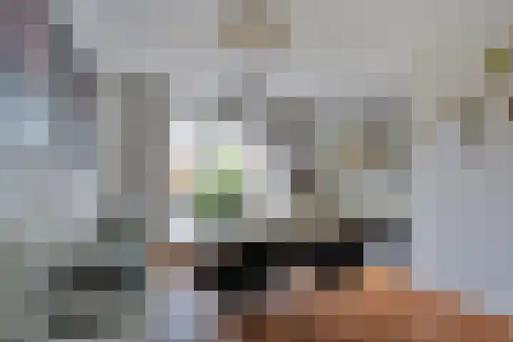Fluitekruid 14 Hardenberg thumbnail 10