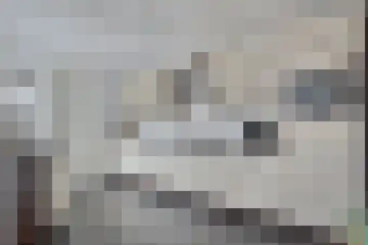 Fluitekruid 14 Hardenberg thumbnail 13