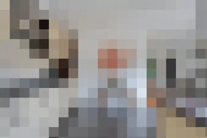 Fluitekruid 14 Hardenberg thumbnail 14