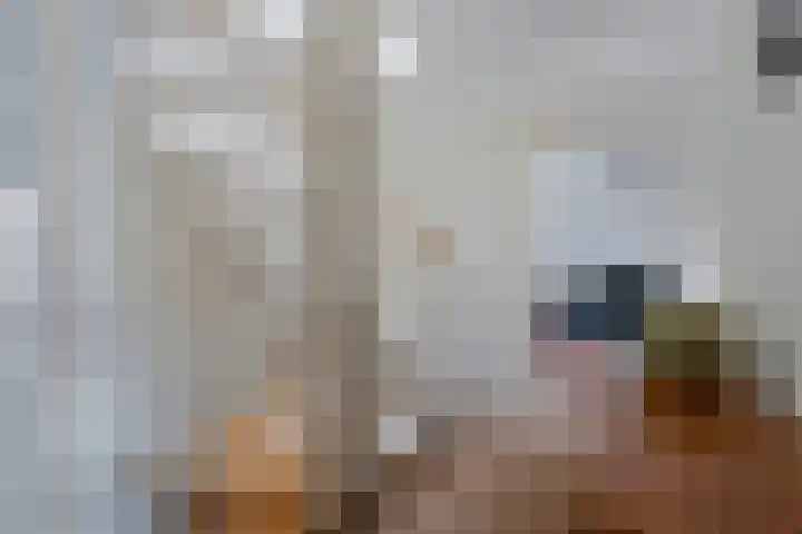 Fluitekruid 14 Hardenberg thumbnail 17