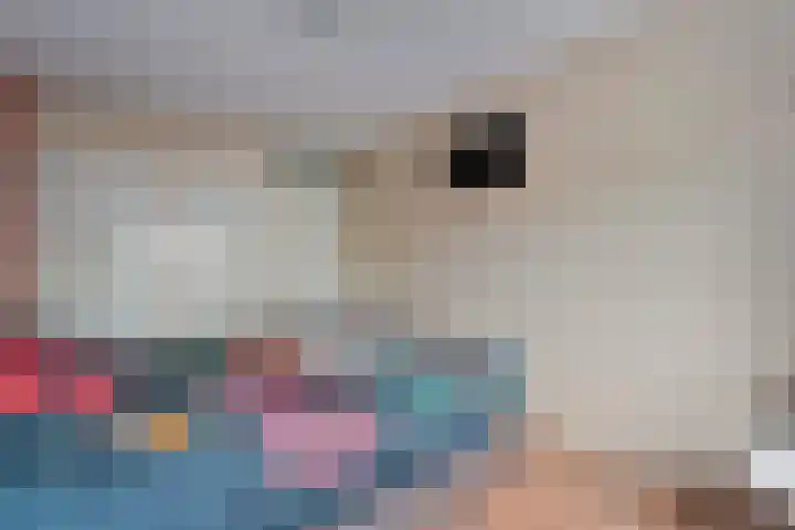 Fluitekruid 14 Hardenberg thumbnail 19