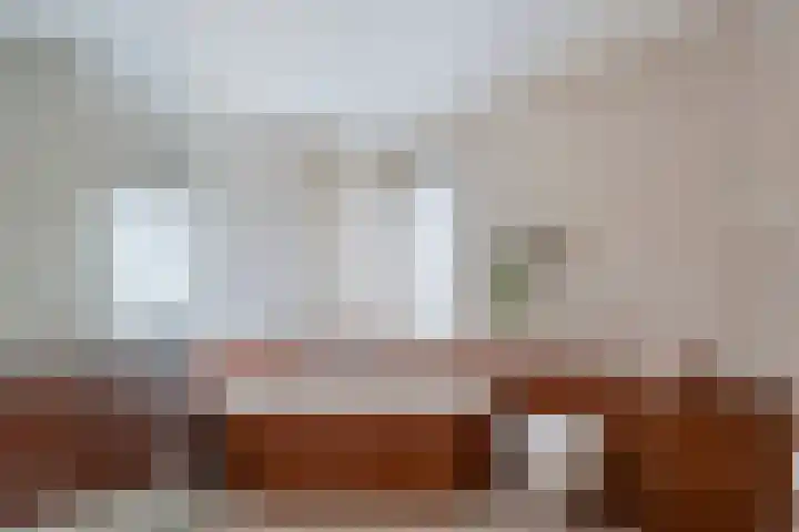 Fluitekruid 14 Hardenberg thumbnail 28