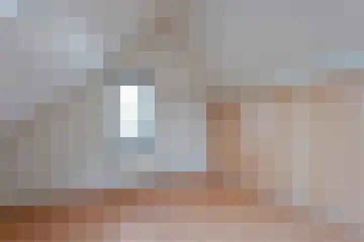 Fluitekruid 14 Hardenberg thumbnail 33