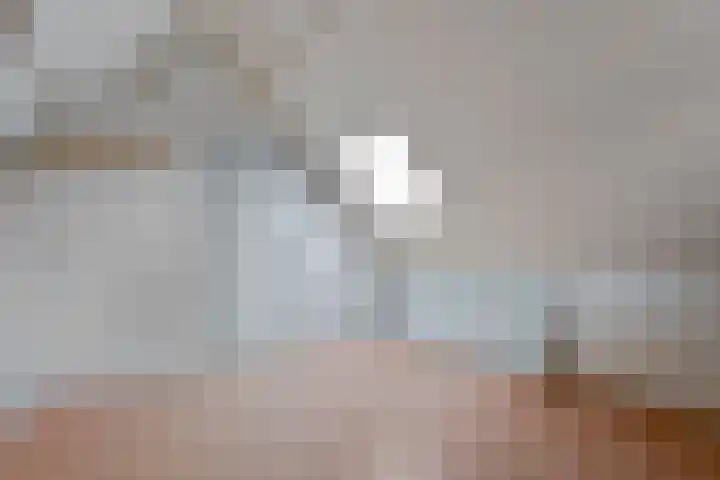 Fluitekruid 14 Hardenberg thumbnail 34