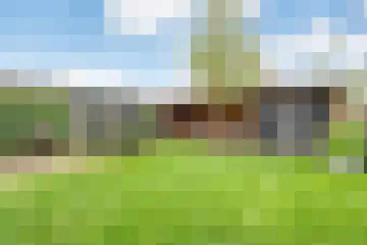 Fluitekruid 14 Hardenberg thumbnail 38