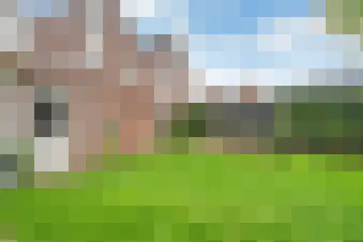 Fluitekruid 14 Hardenberg thumbnail 39