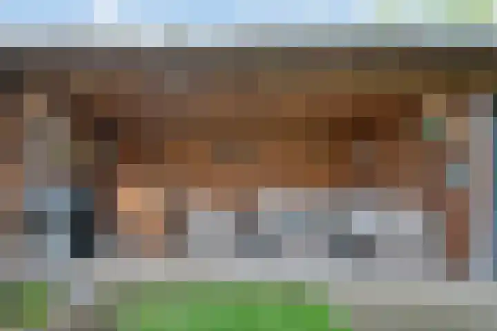 Fluitekruid 14 Hardenberg thumbnail 41