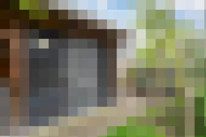 Fluitekruid 14 Hardenberg thumbnail 42