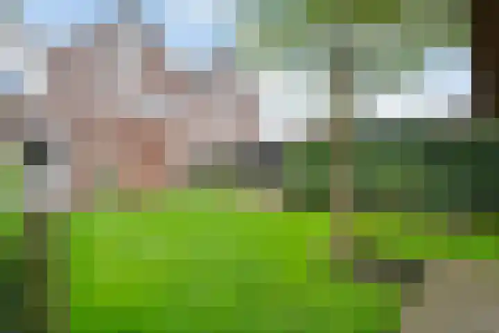 Fluitekruid 14 Hardenberg thumbnail 43