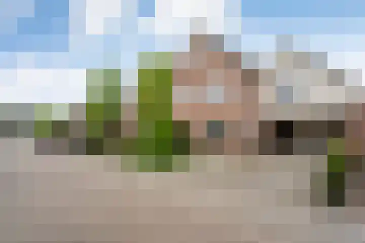 Fluitekruid 14 Hardenberg thumbnail 44