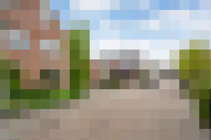 Fluitekruid 14 Hardenberg thumbnail 45
