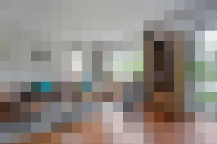 Fluitekruid 14 Hardenberg thumbnail 5