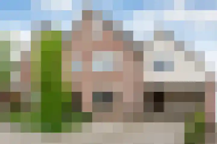 Fluitekruid 14 Hardenberg thumbnail 52