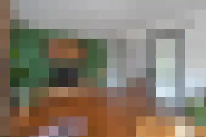 Fluitekruid 14 Hardenberg thumbnail 7