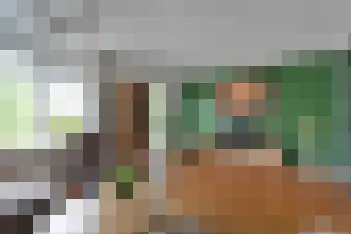 Fluitekruid 14 Hardenberg thumbnail 8