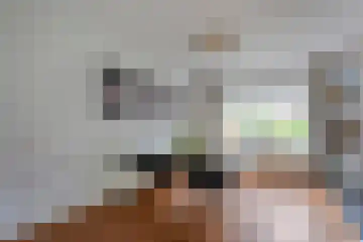 Fluitekruid 14 Hardenberg thumbnail 9