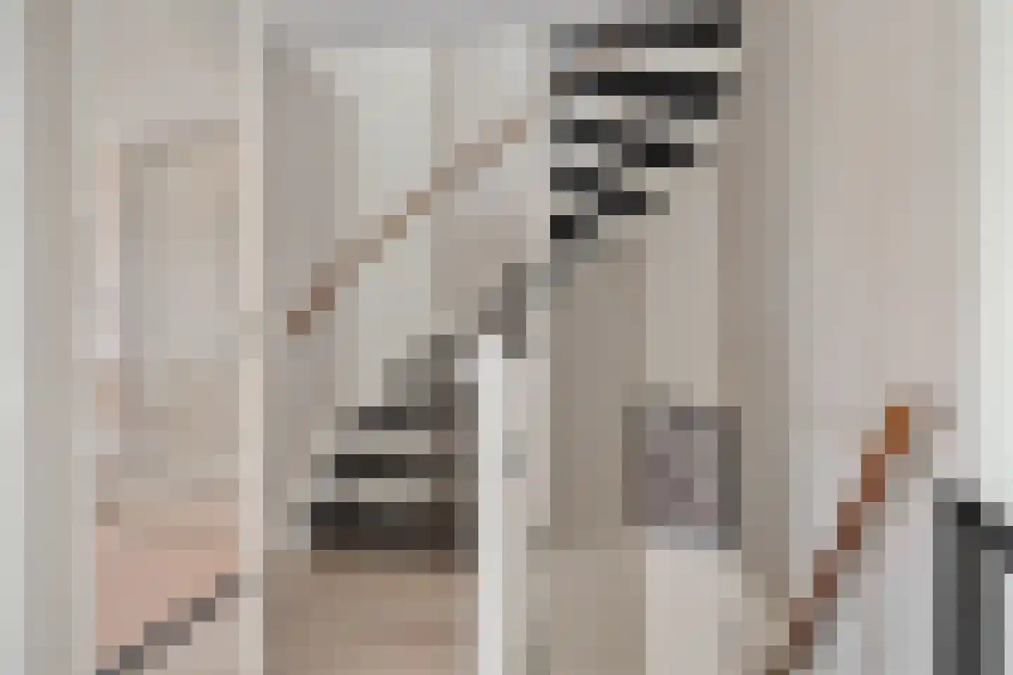 Fluitekruid 15 Marknesse thumbnail 22