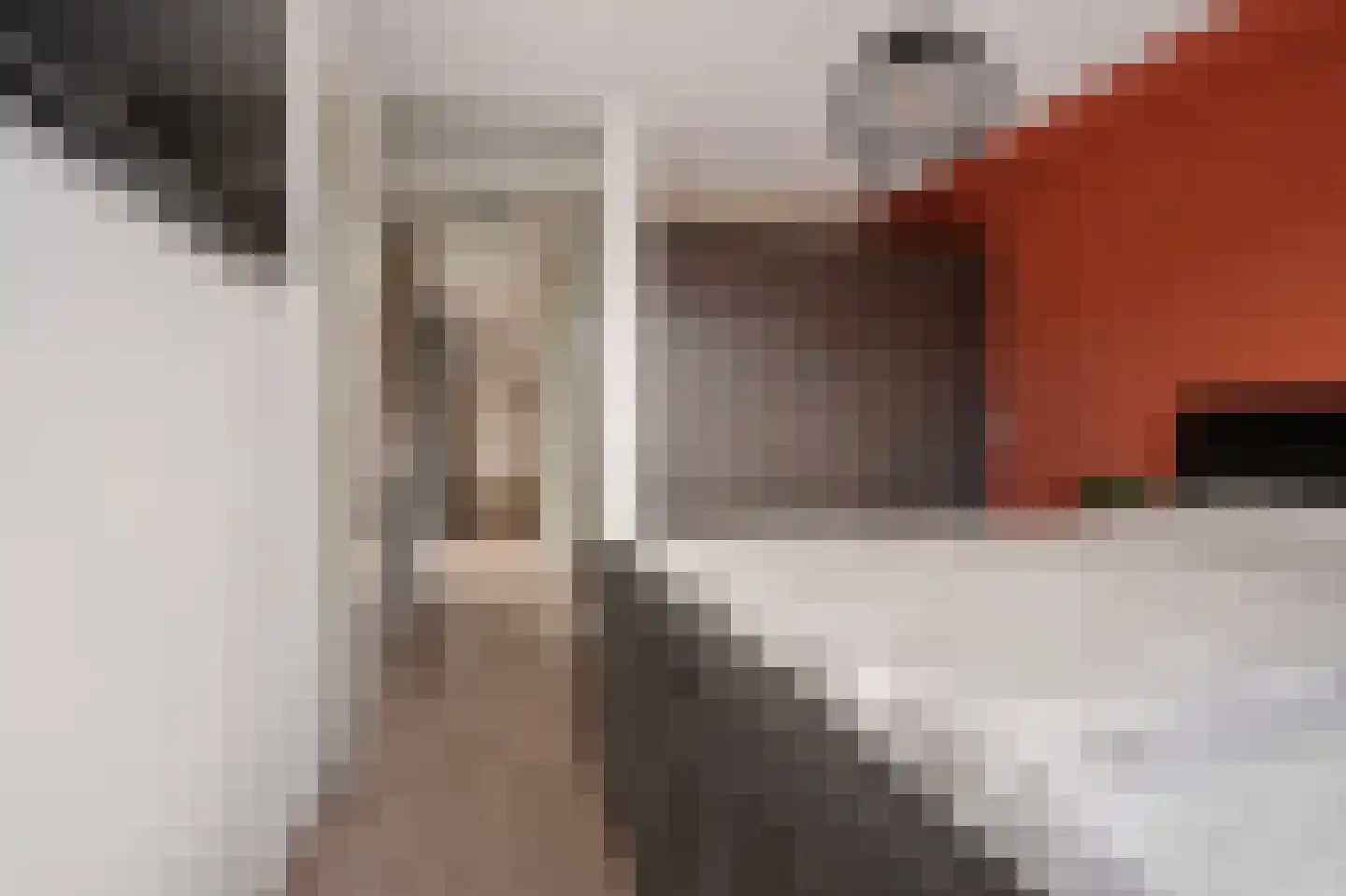 Fluitekruid 15 Marknesse thumbnail 25