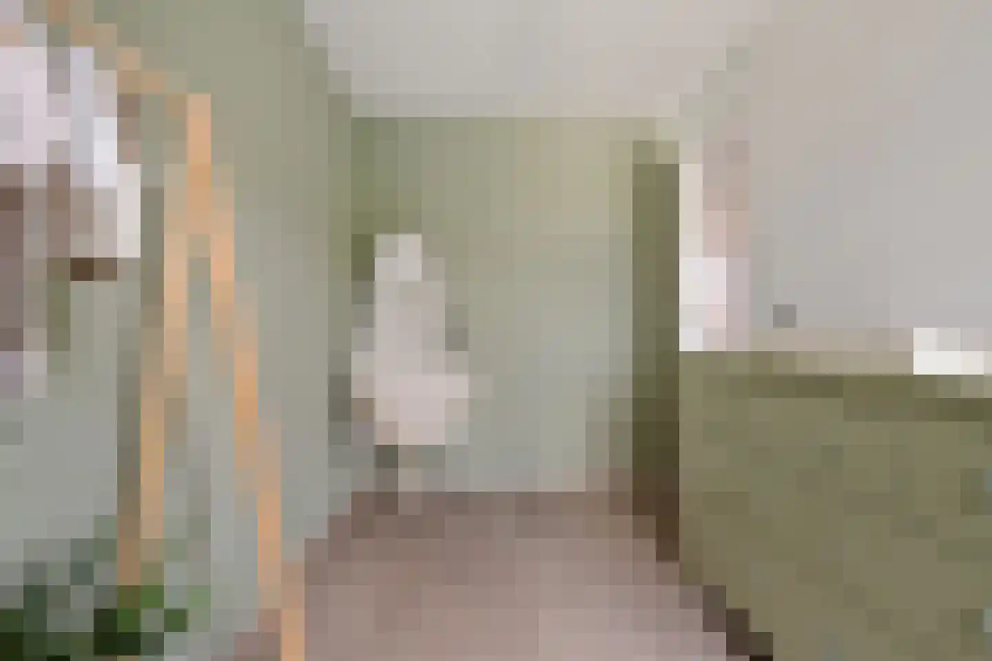 Fluitekruid 15 Marknesse thumbnail 30