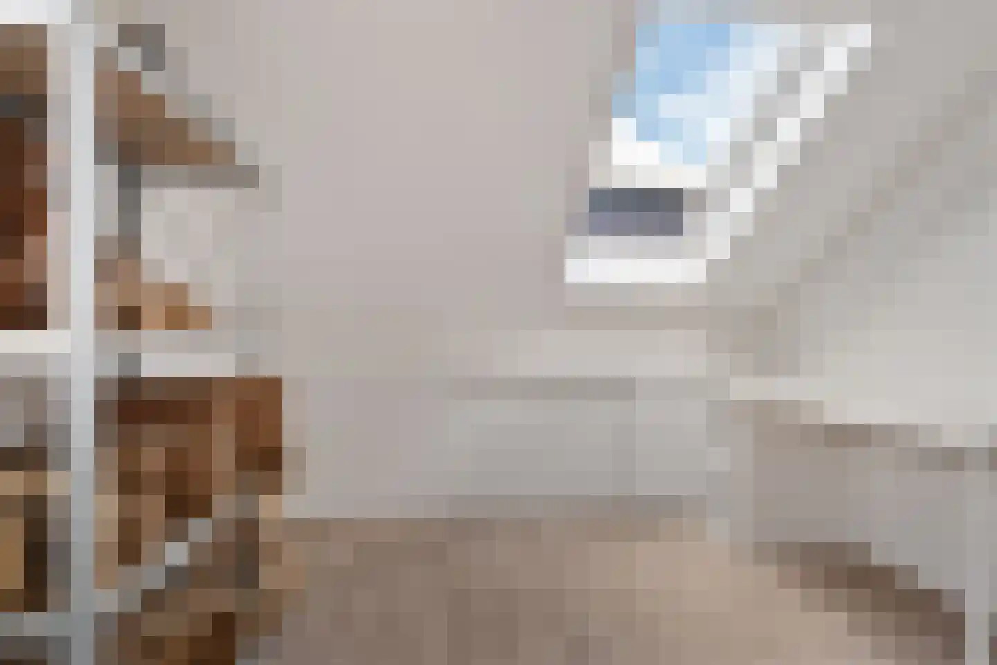 Fluitekruid 15 Marknesse thumbnail 36