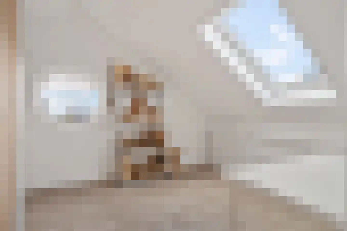 Fluitekruid 15 Marknesse thumbnail 37