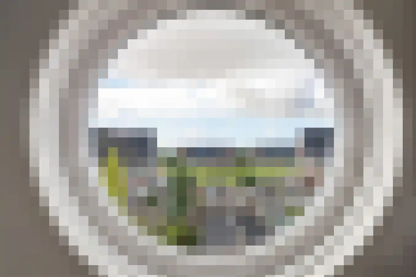 Fluitekruid 15 Marknesse thumbnail 38