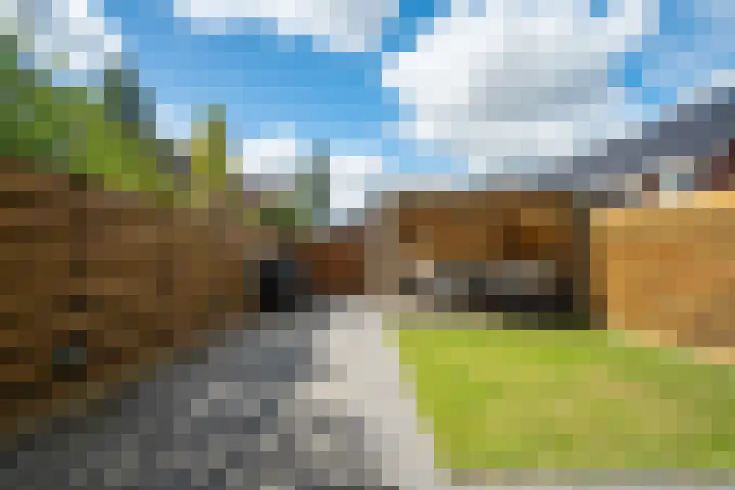 Fluitekruid 15 Marknesse thumbnail 43