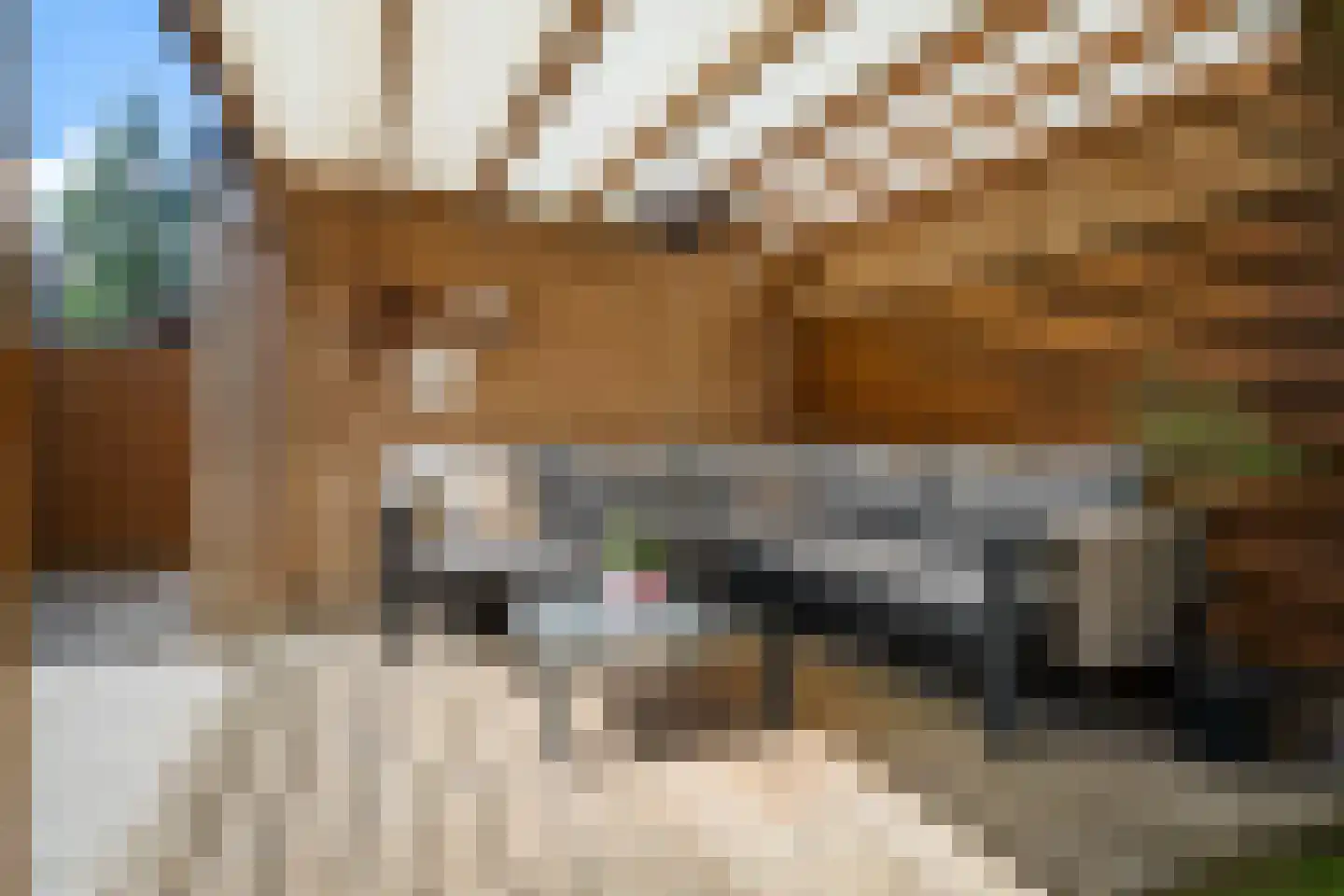 Fluitekruid 15 Marknesse thumbnail 44