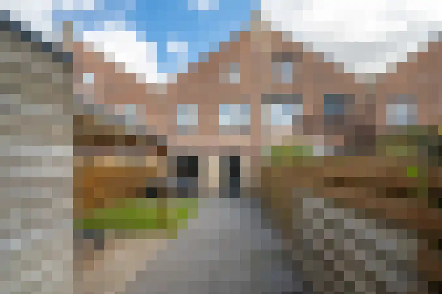 Fluitekruid 15 Marknesse thumbnail 45