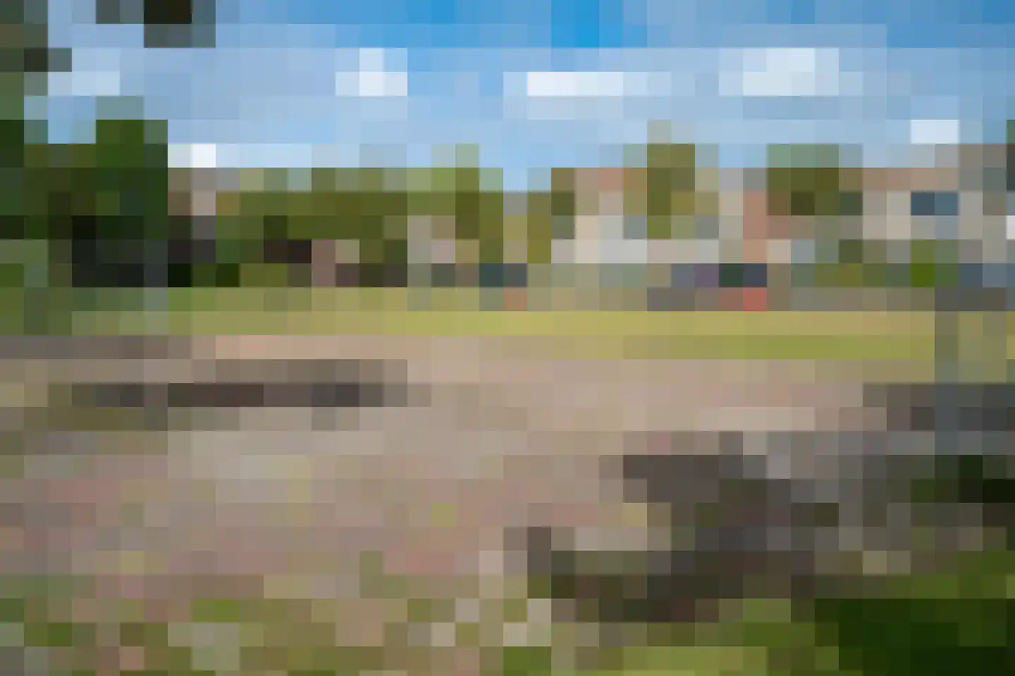 Fluitekruid 15 Marknesse thumbnail 48