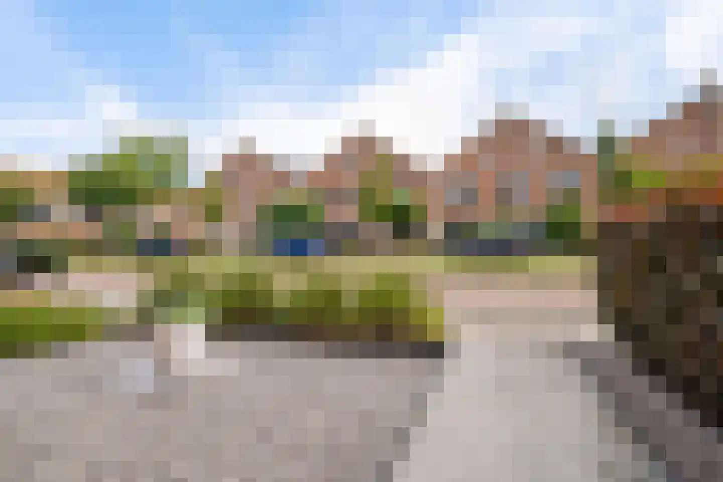 Fluitekruid 15 Marknesse thumbnail 5