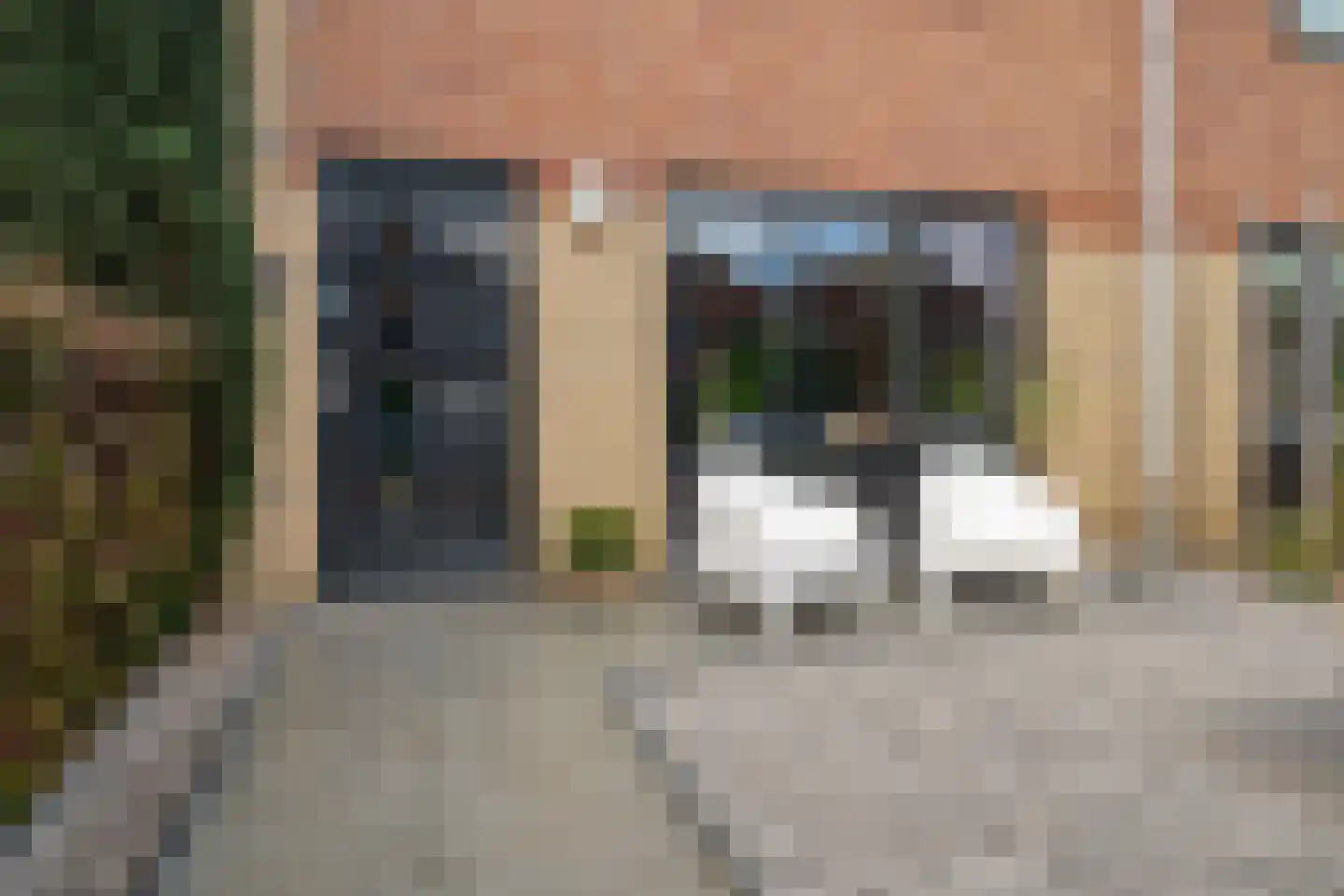 Fluitekruid 15 Marknesse thumbnail 6