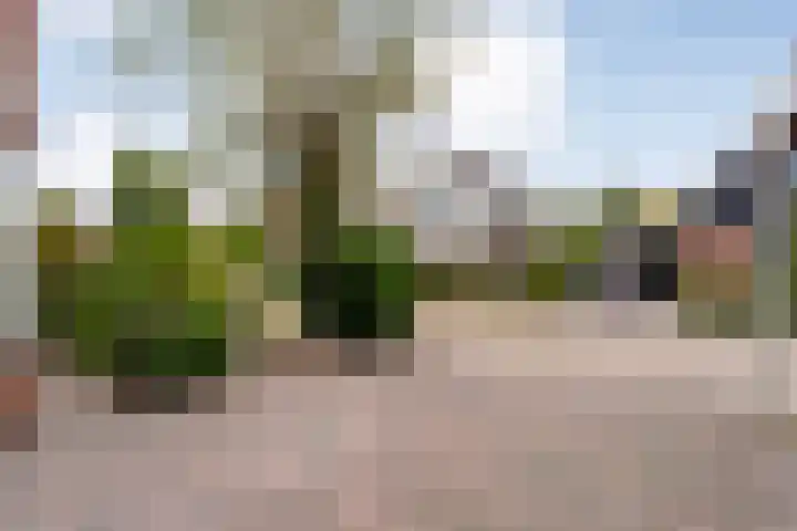 Fluitekruid 16 Hardenberg thumbnail 10