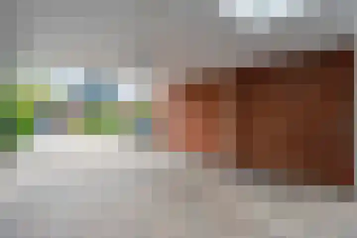Fluitekruid 16 Hardenberg thumbnail 12