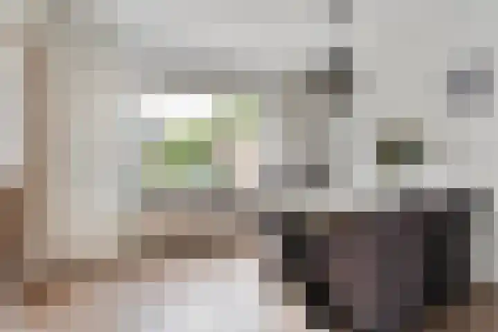 Fluitekruid 16 Hardenberg thumbnail 15