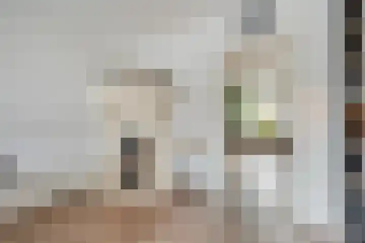 Fluitekruid 16 Hardenberg thumbnail 17
