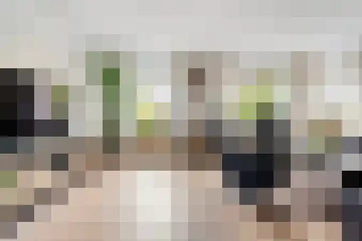 Fluitekruid 16 Hardenberg thumbnail 18