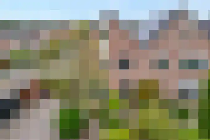 Fluitekruid 16 Hardenberg foto 2