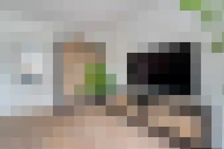 Fluitekruid 16 Hardenberg thumbnail 20