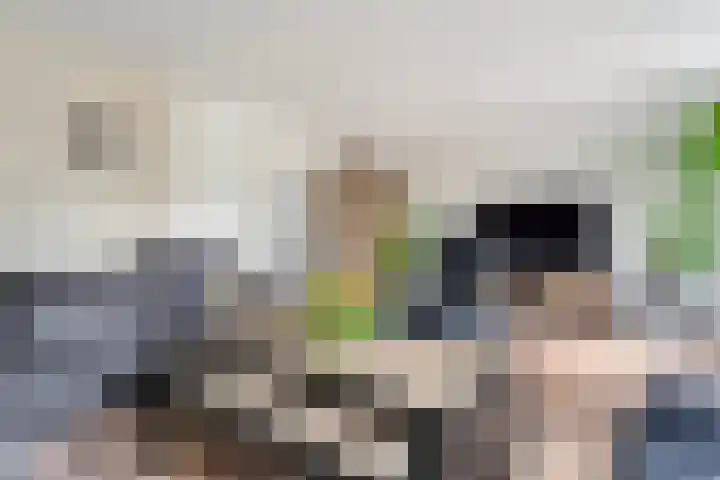 Fluitekruid 16 Hardenberg thumbnail 21