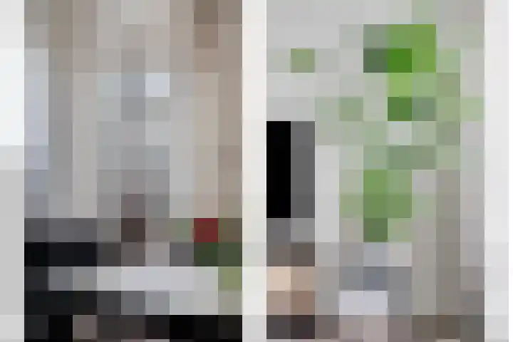 Fluitekruid 16 Hardenberg thumbnail 22