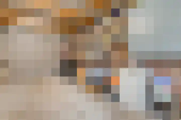 Fluitekruid 16 Hardenberg thumbnail 28
