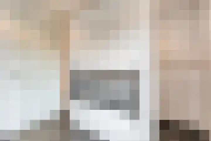 Fluitekruid 16 Hardenberg thumbnail 40