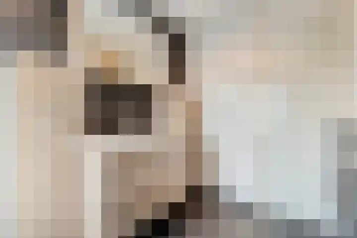 Fluitekruid 16 Hardenberg thumbnail 41