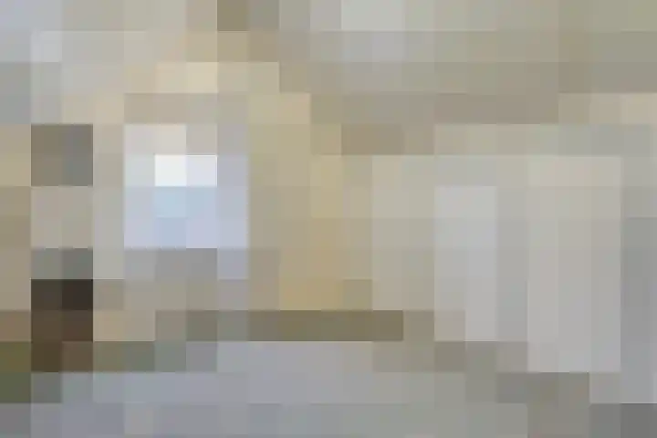 Fluitekruid 16 Hardenberg thumbnail 46